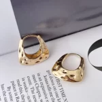 Brinco Argola Forma Orgânica O109