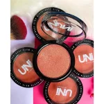 Blush Rose Glow Uni Makeup
