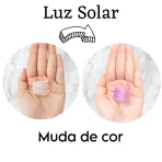 Piranha Pequena Transparente Muda De Cor und.