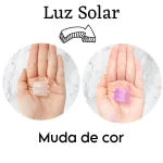 Piranha Pequena Transparente Muda De Cor und.