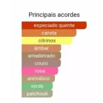 Perfume Brand Collection 005 - Inspirado no One Million de Paco Rabanne 25ml - Imagem 2